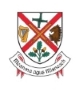 Kildare County Council Arts Service announces awards under Creative and Arts Grants 2022